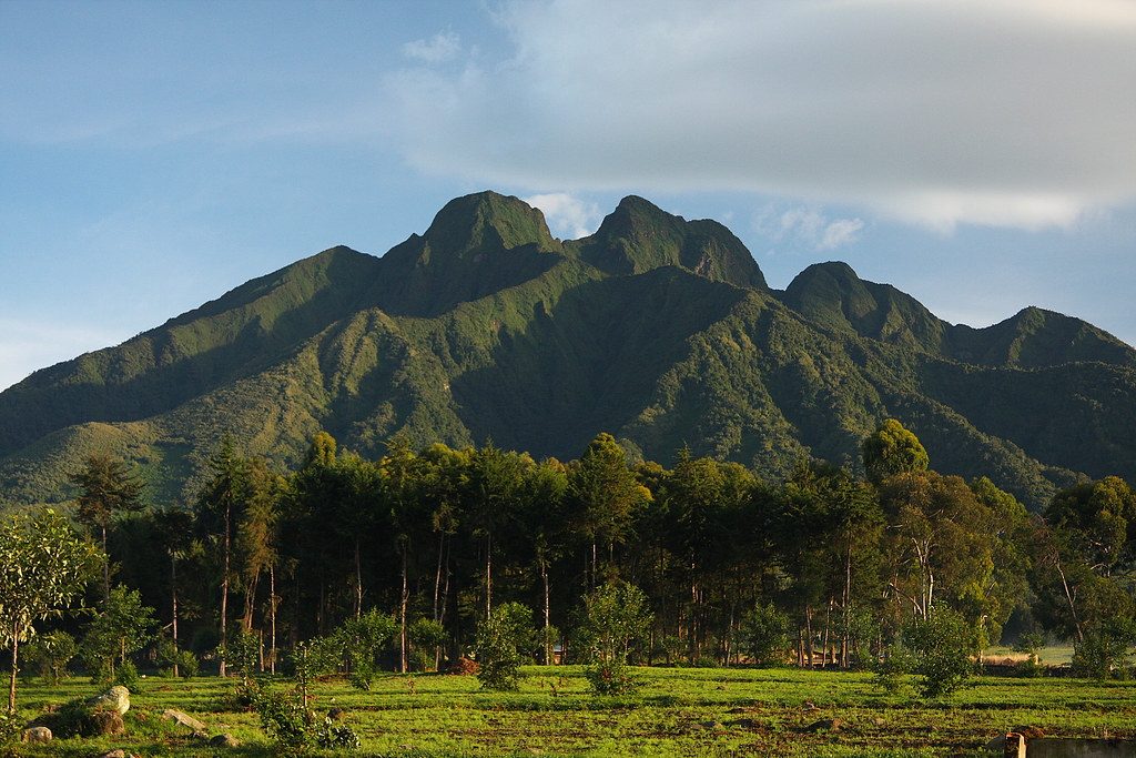 Akagera National Park